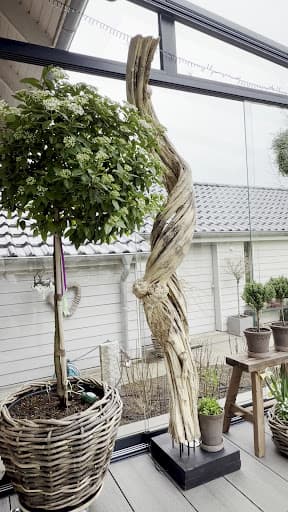 TERCALUX Terrassendächer GmbH — Kundenfoto